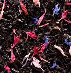 Store Compagnie & Co Christmas Tea®