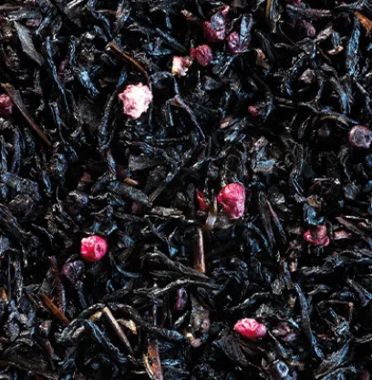 Store Compagnie & Co Mûre Sauvage