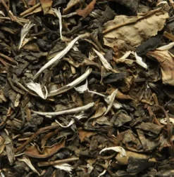 Fashion Compagnie & Co Noël/Neiges/Austral Gift set