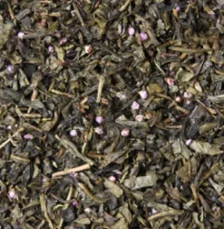 Hot Compagnie & Co Sencha Belanda