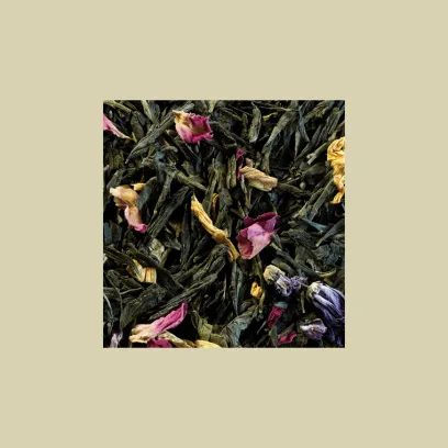 Hot Compagnie & Co Sencha Printemps