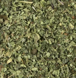 Fashion Compagnie & Co Verbena with Mint